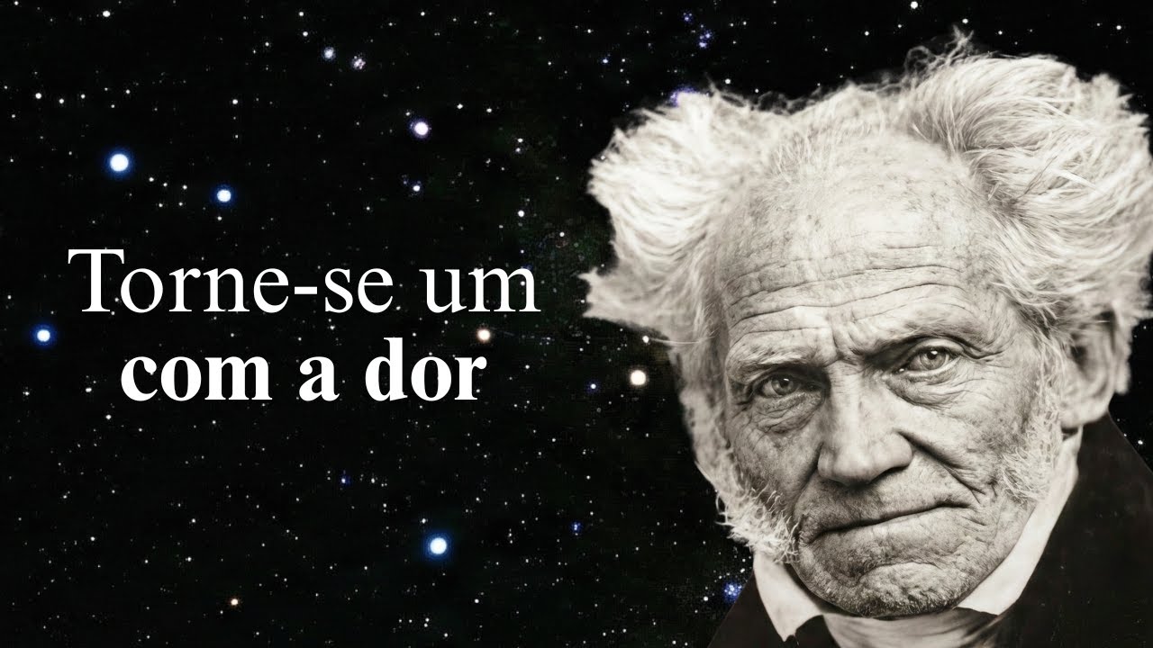 Aceite o sofrimento (Schopenhauer)
