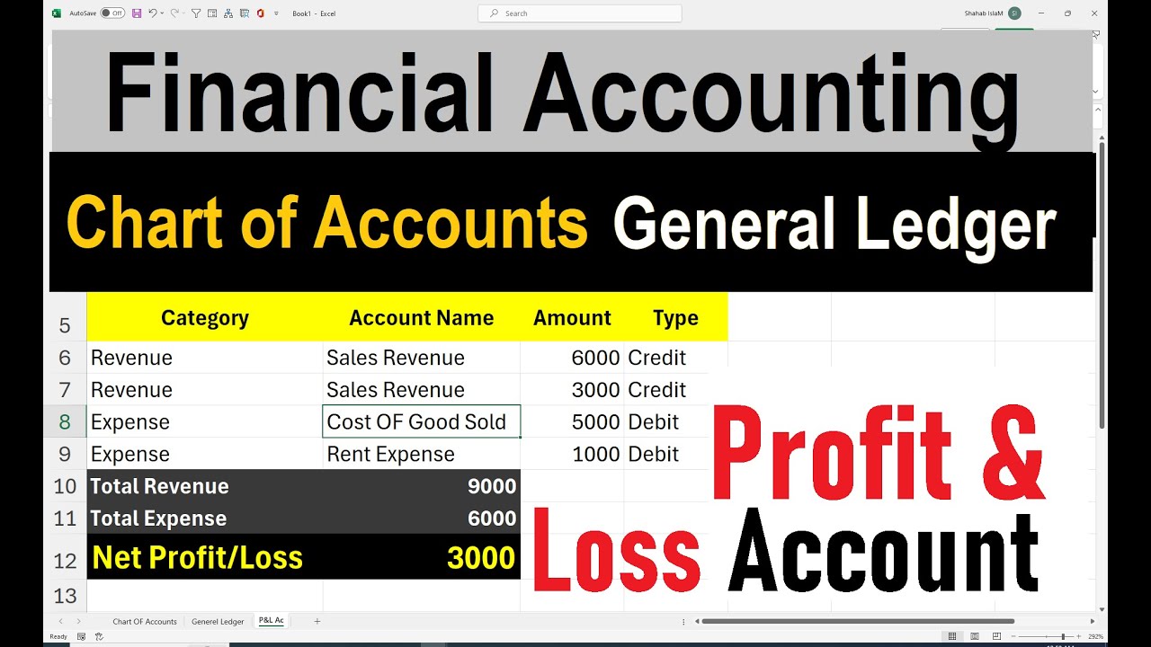 How to Create a General Ledger, Chart of Accounts & P&L in Excel