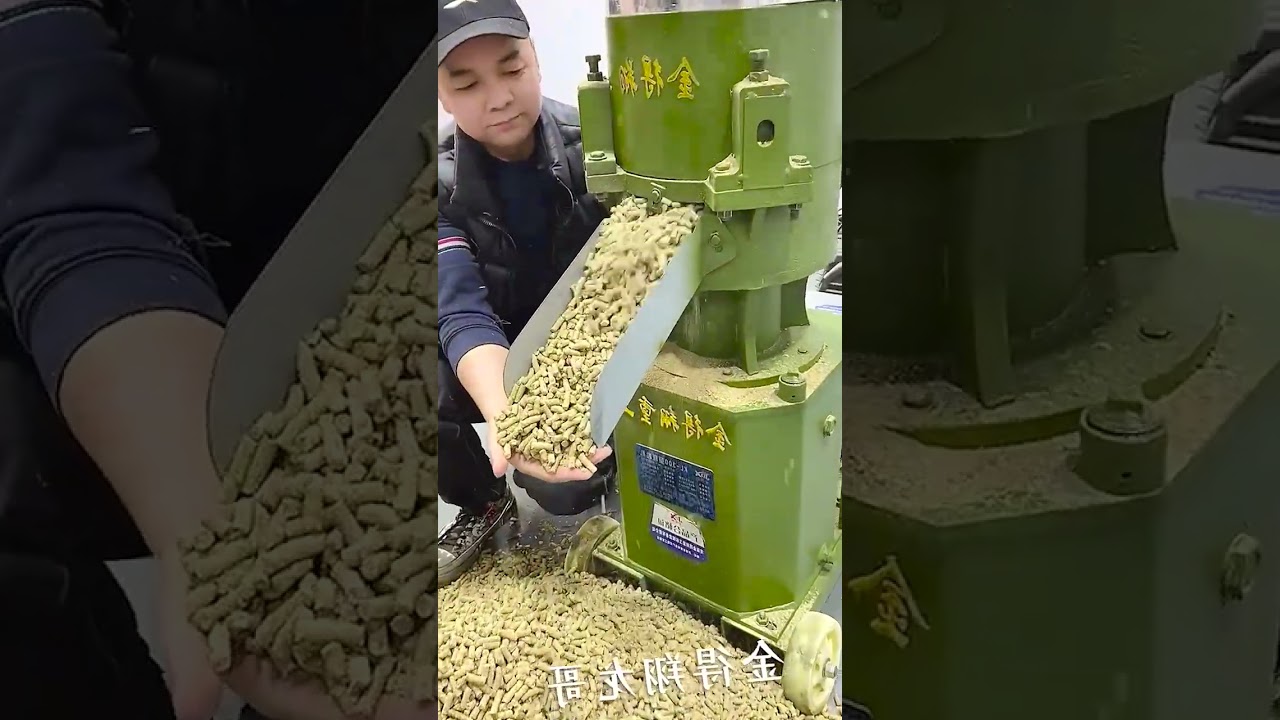 WA+86 19939724755pellet machine production line,ring die pellet machine,flat grinding pellet machine