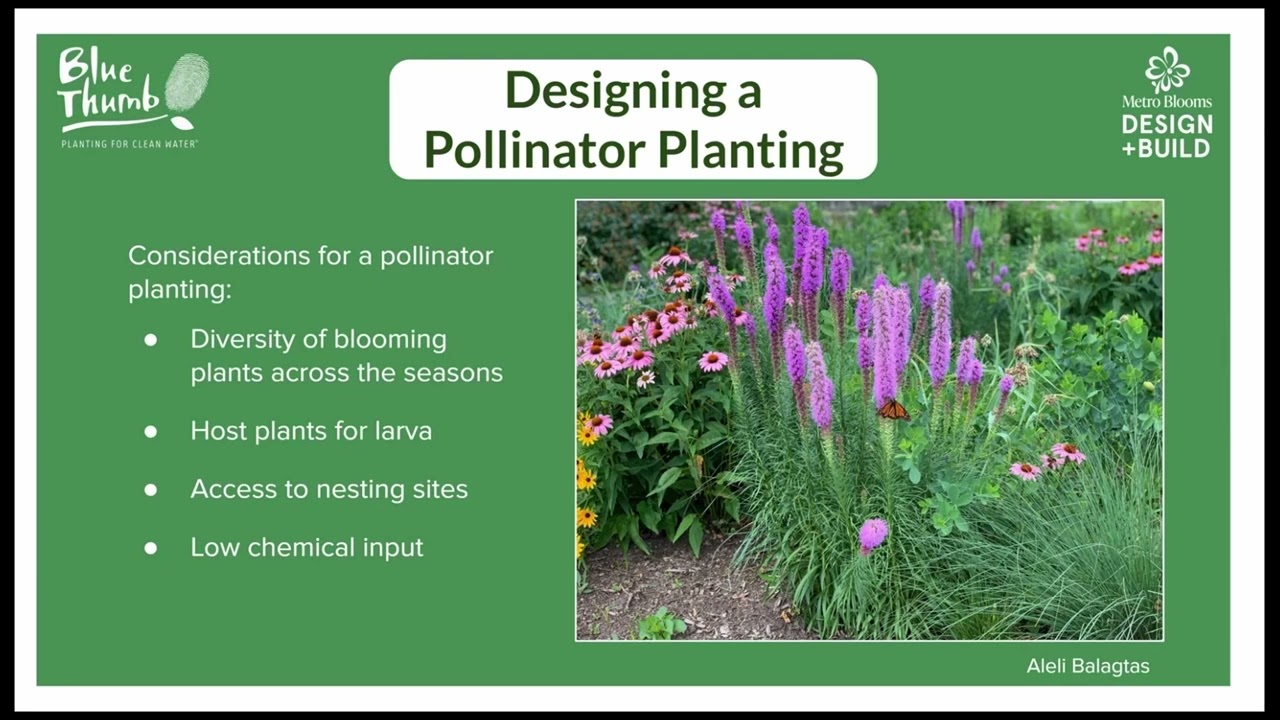 Native Plants and Pollinators