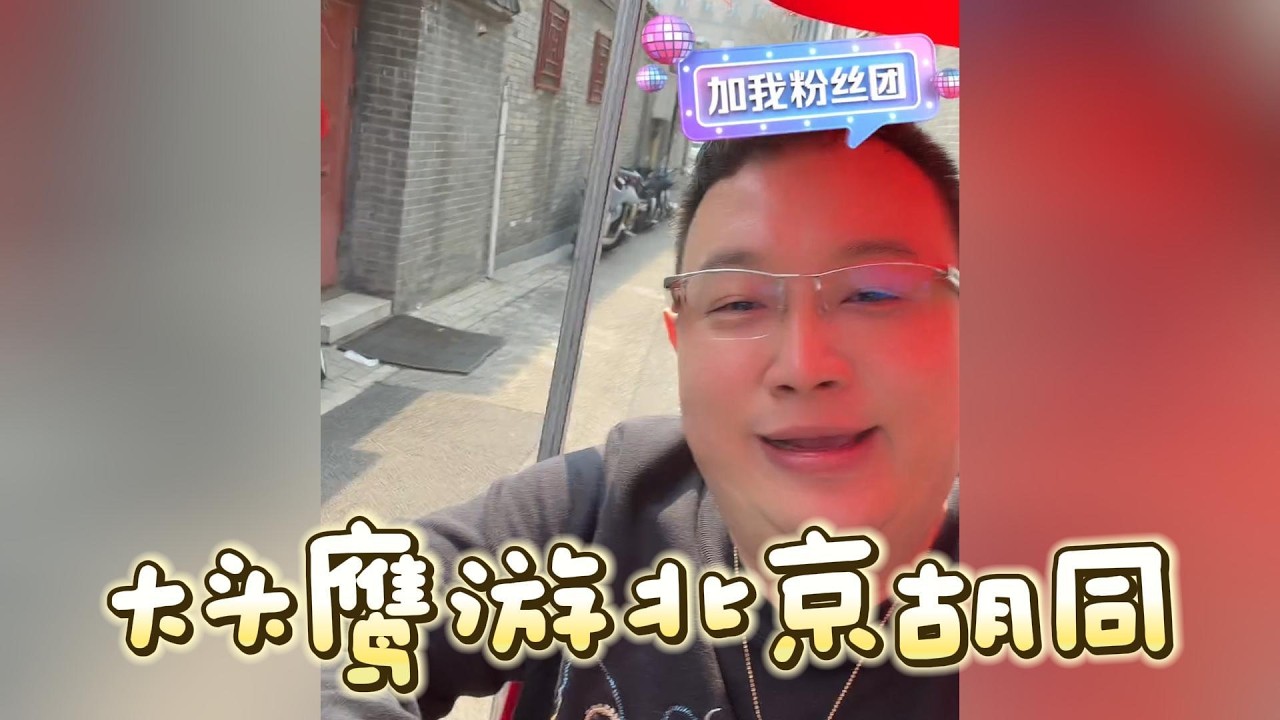 大头鹰游北京胡同 #大头鹰 #鹰眼看世界