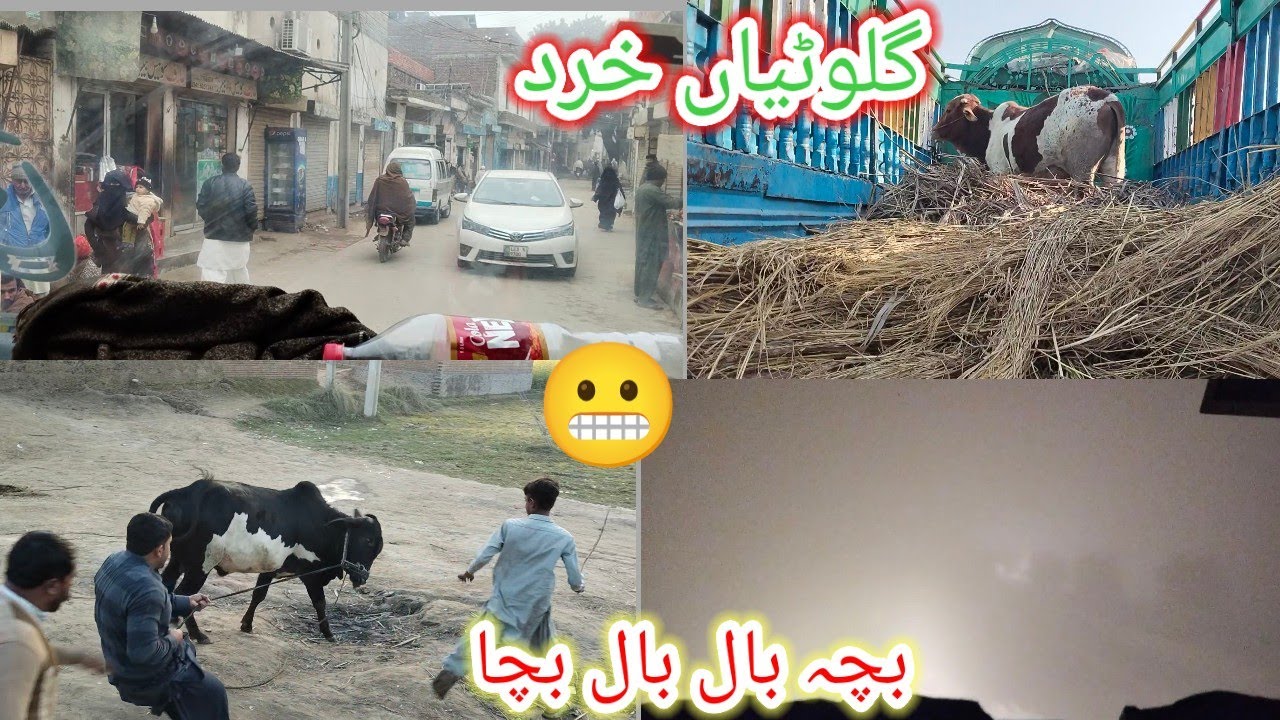 علی پور سے بلے جھولن پھر ڈسکہ واپسی گوجرانوالہ جانوروں کی لوڈنگ 🐂🐃🦬🐏