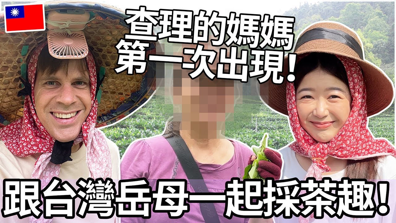 跟台灣岳母一起採茶趣！查理的媽媽第一次出現！🇹🇼😍 | Picking tea with Taiwanese mother-in-law!