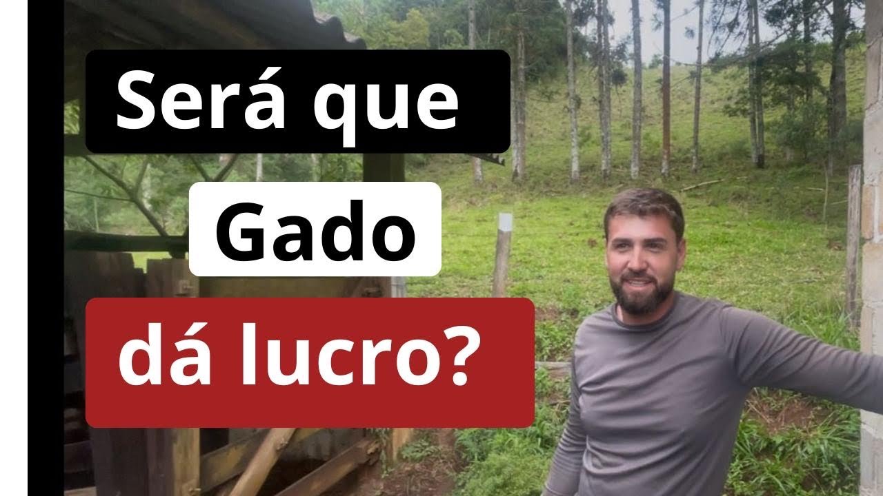Criar gado dá lucro? Veja quantos bois ele tinha e quantos tem hoje! 