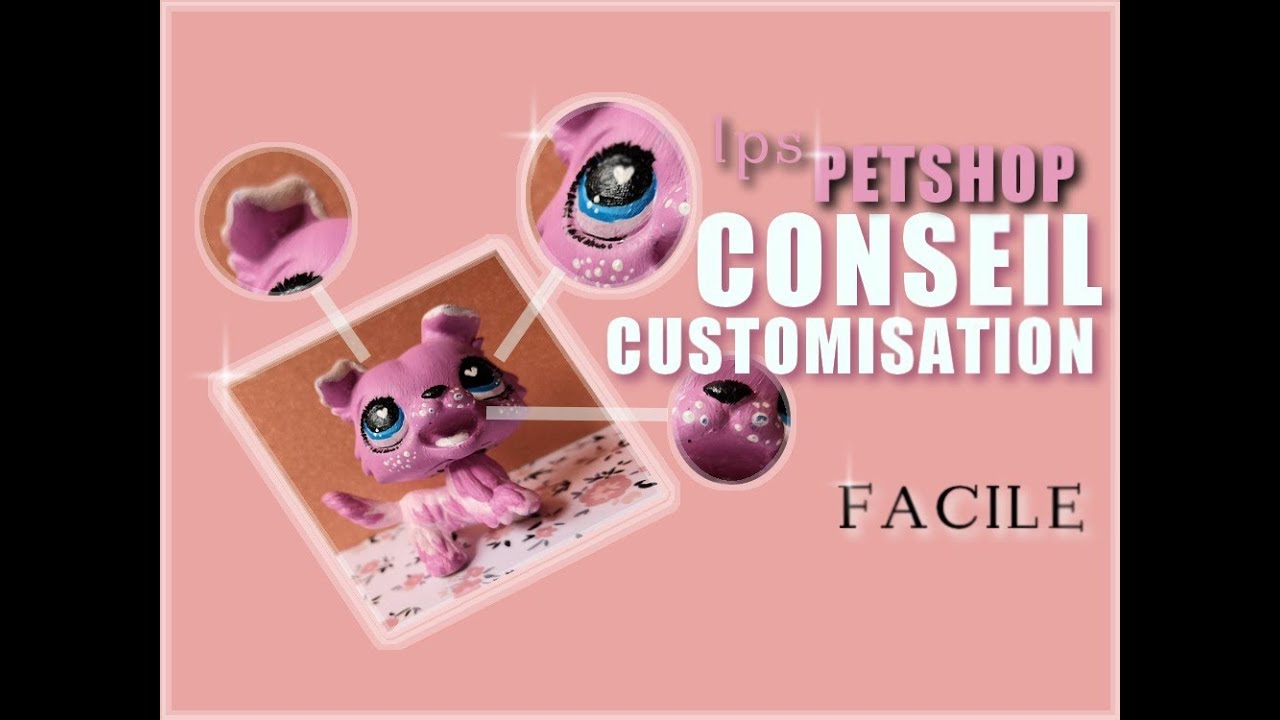 #1 Conseils - customisation PETSHOP [avec pinceaux]