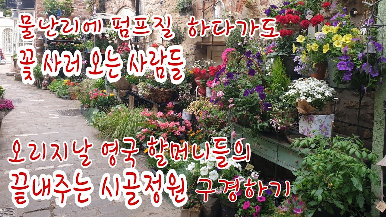 오리지날 영국 할머니들의 정원 구경하기 물난리에 펌프질 하다가도 꽃사러 오는 사람들