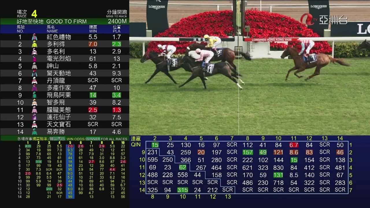 多名利 (N169) DOMINANT ドミナント 2013 香港瓶 HONG KONG VASE 香港ヴァーズ