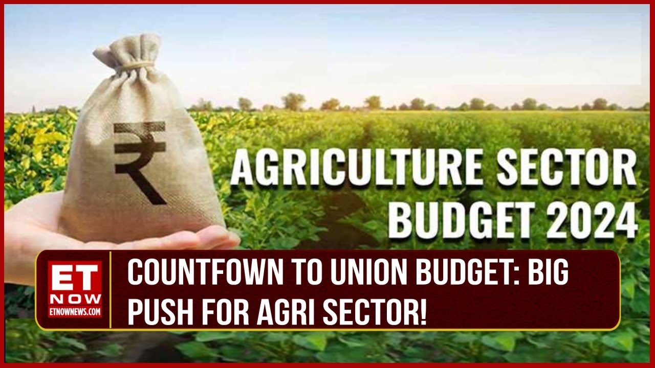 Budget 2024: Government May Hike 20% Agriculture Credit Target In The Upcoming Budget Says Sources