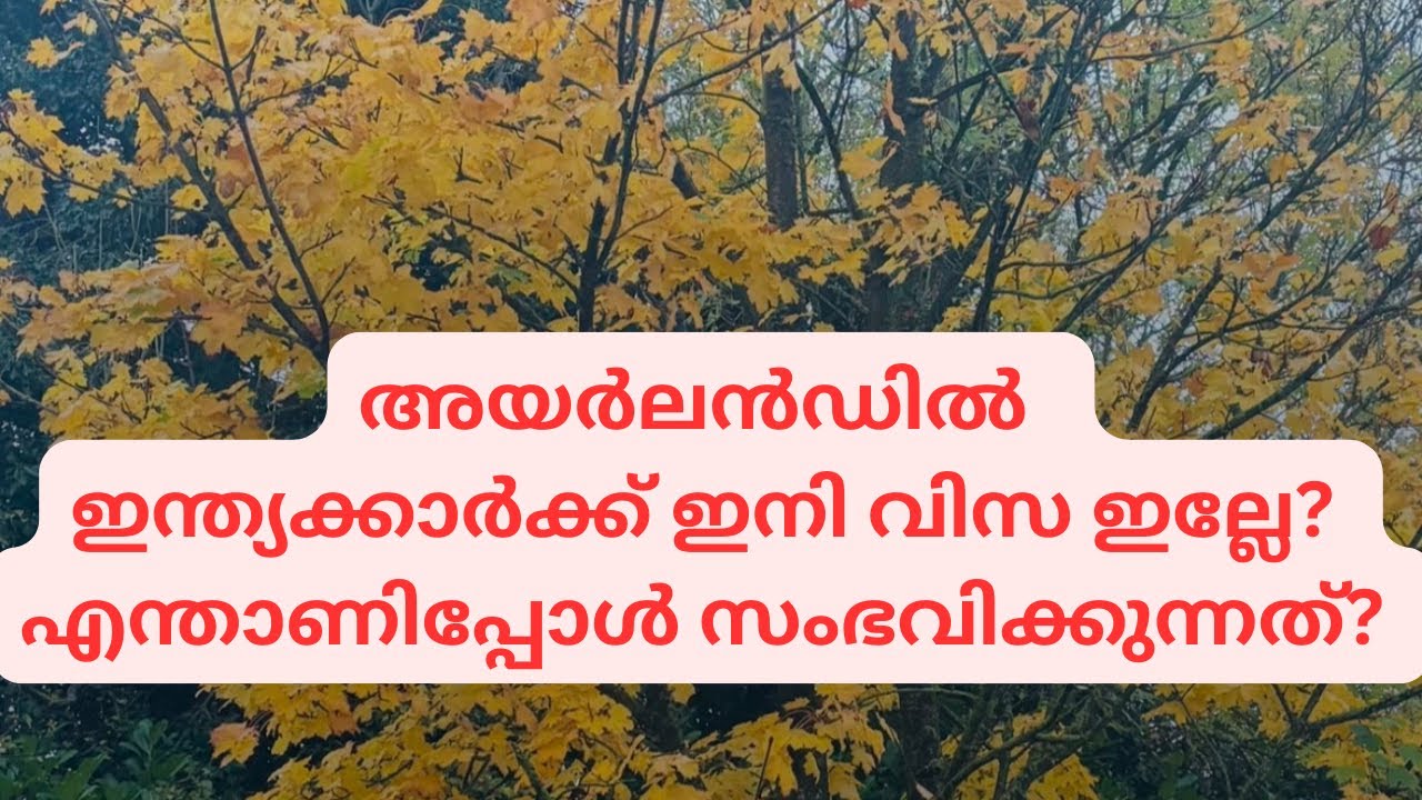 ഇന്ത്യക്കാർക്ക് ഇനി ഇവിടെ വിസ ഇല്ലേ????