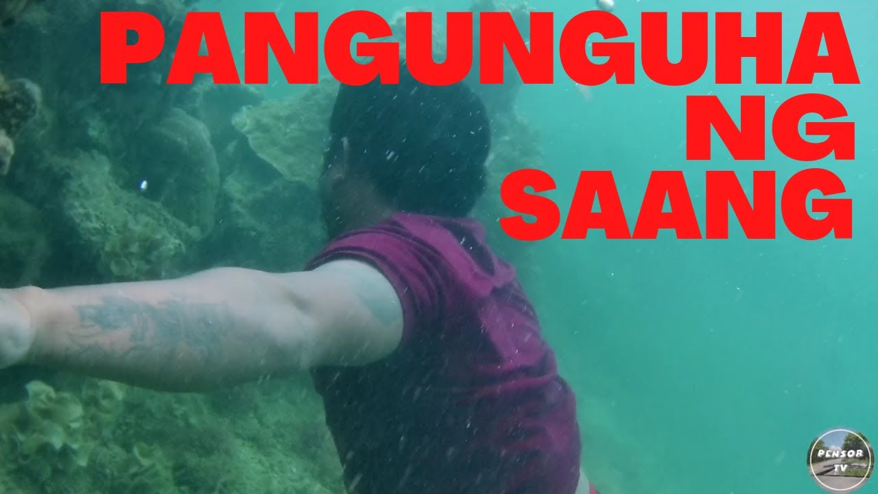 PENSOR TV | PANGUNGUHA NG SAANG | BUHAY MANGINGISDA | CATCH AND COOK | BORONGAN CITY EASTERN SAMAR