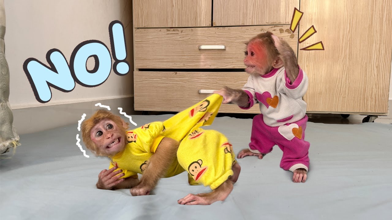 OMG! Why is Sunny so angry at Lucky: What happened? | Monkey Lucky