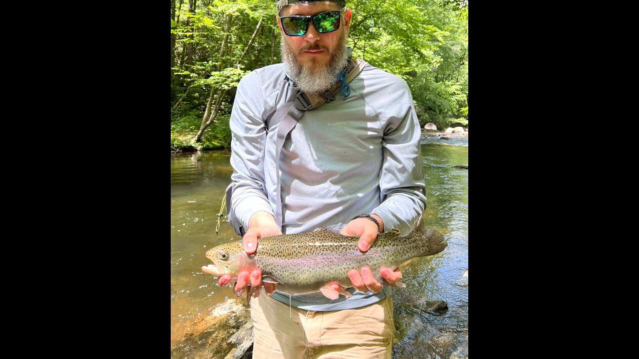 Fly fishing Big Snowbird Creek in North Carolina