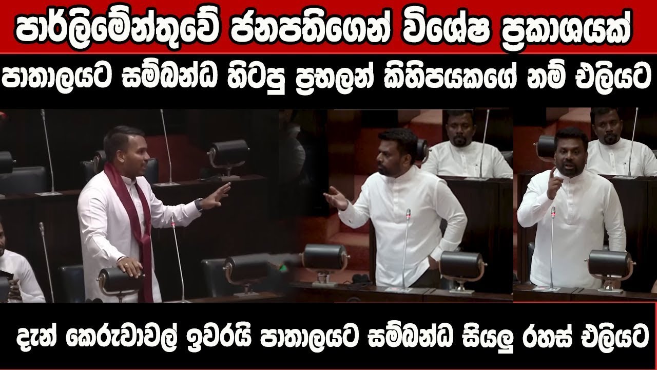 පාතාලයොත් එක්ක නාමල් දාපු සෙල්ලම් ජනපති හෙළි කරයි