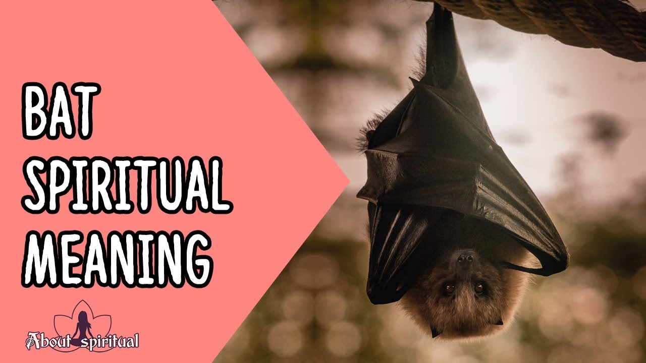 Bat Spiritual Meaning