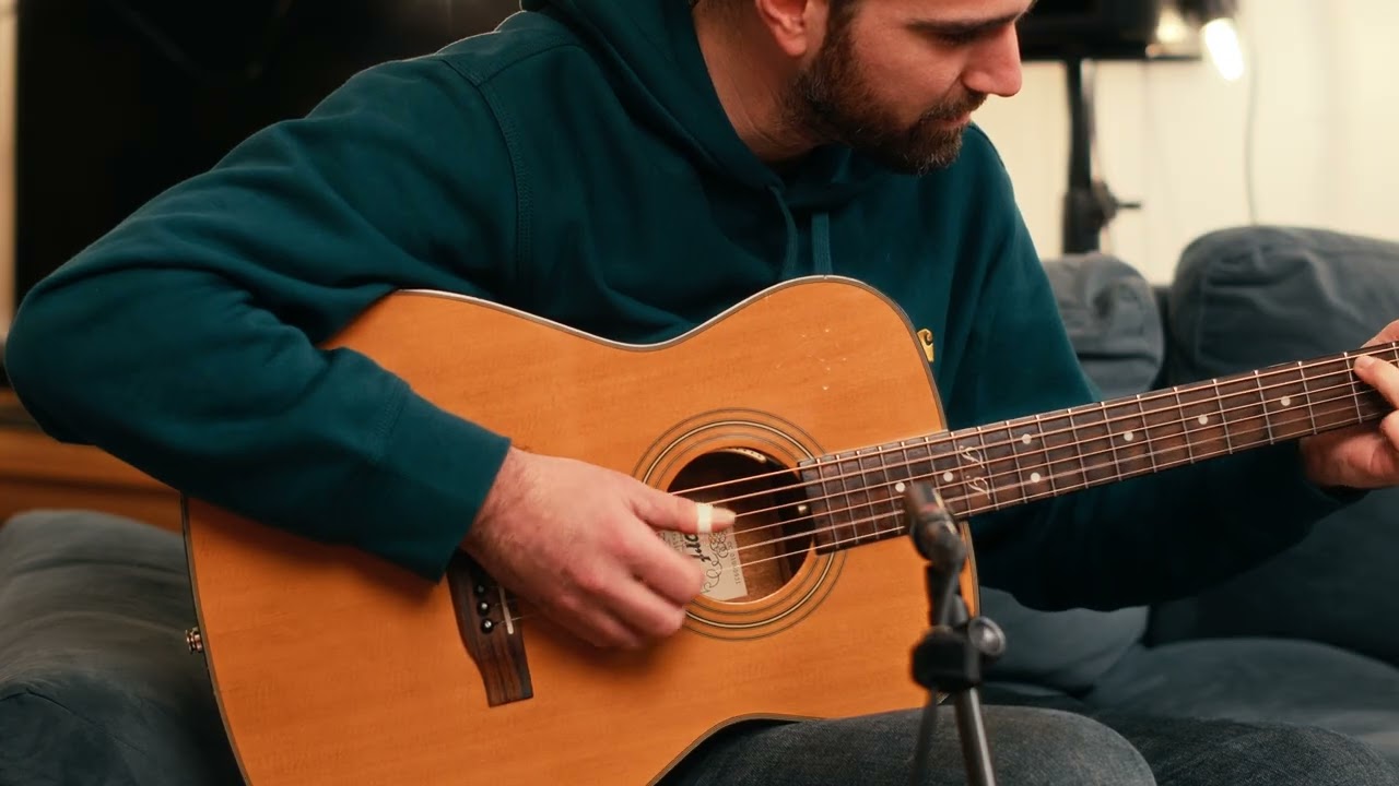 Doc's Guitar / François THOUVENOT