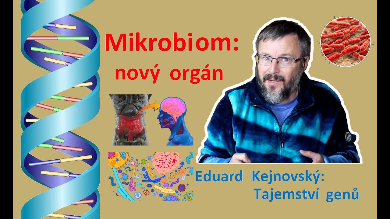 Mikrobiom - nový orgán? (Tajemství genů 35)