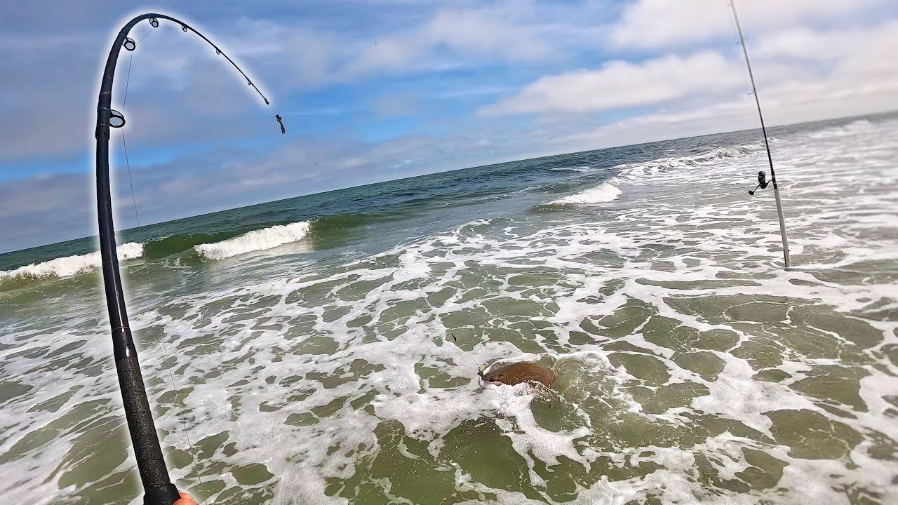 A Very Unusual CHEW in the Surf!