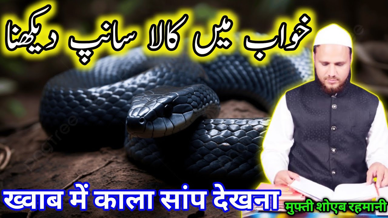 Khwab Mein Kala saamp dekhna! | ख्वाब में काला सांप देखना | Seeing a black snake in a dream |