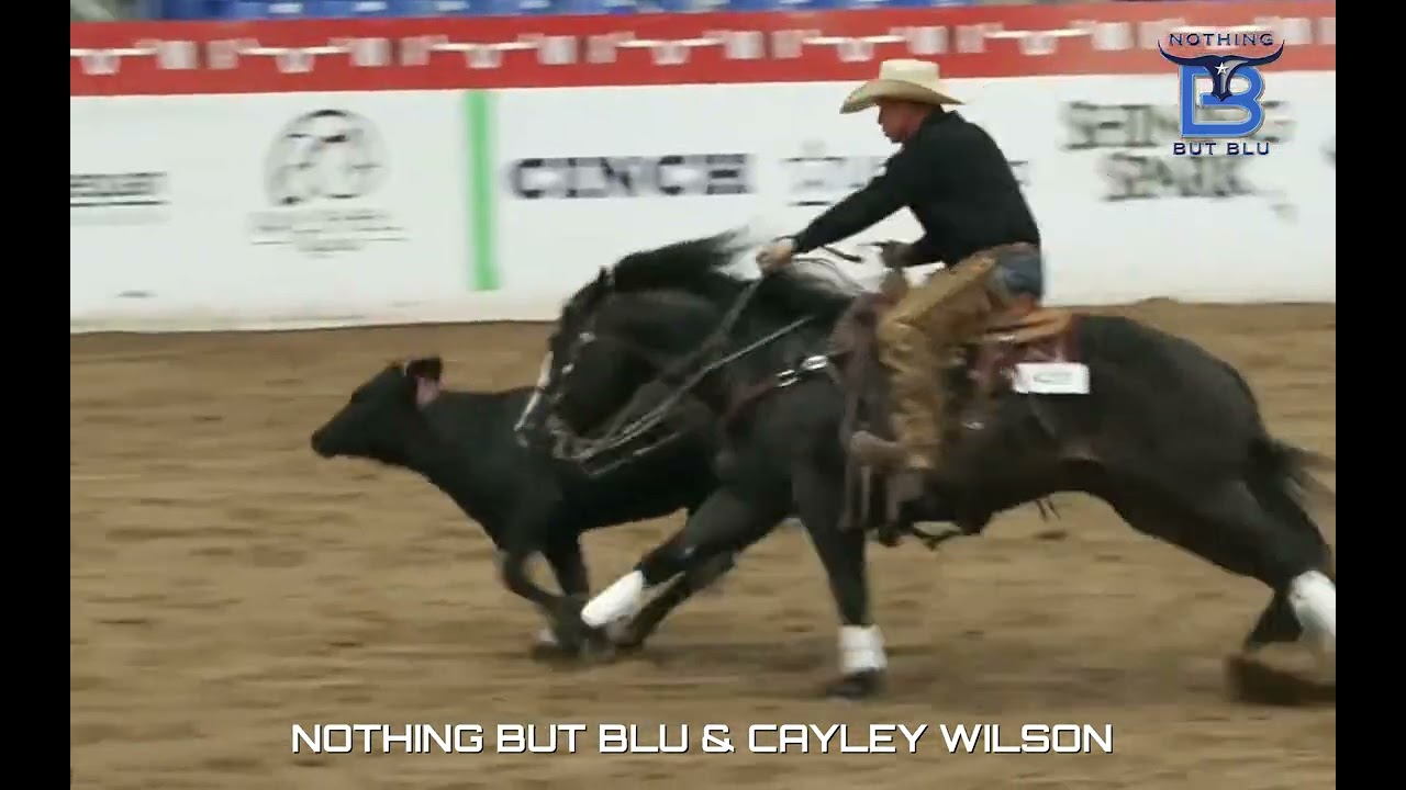Nothing But Blu NRCHA Western Derby Open Two Rein Champion full run
