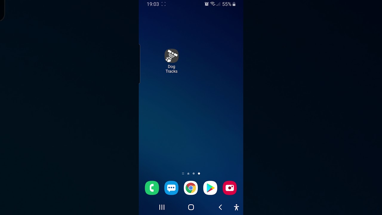 DogTracks - Setting location permission to Always Allow on Android