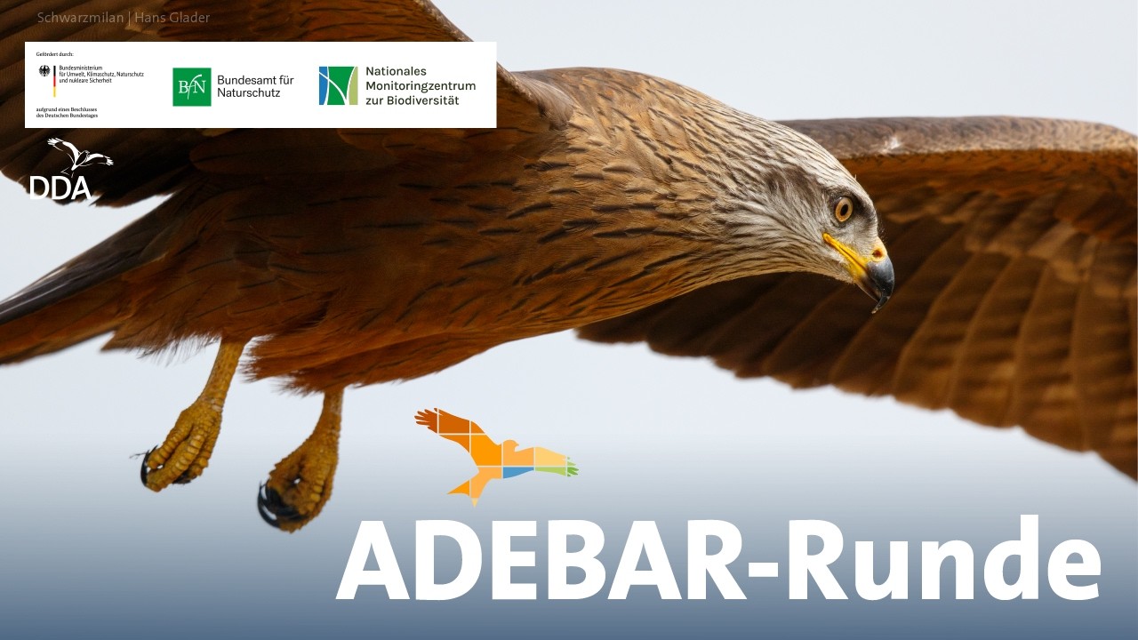ADEBAR-Runde 2026_14.02.2026