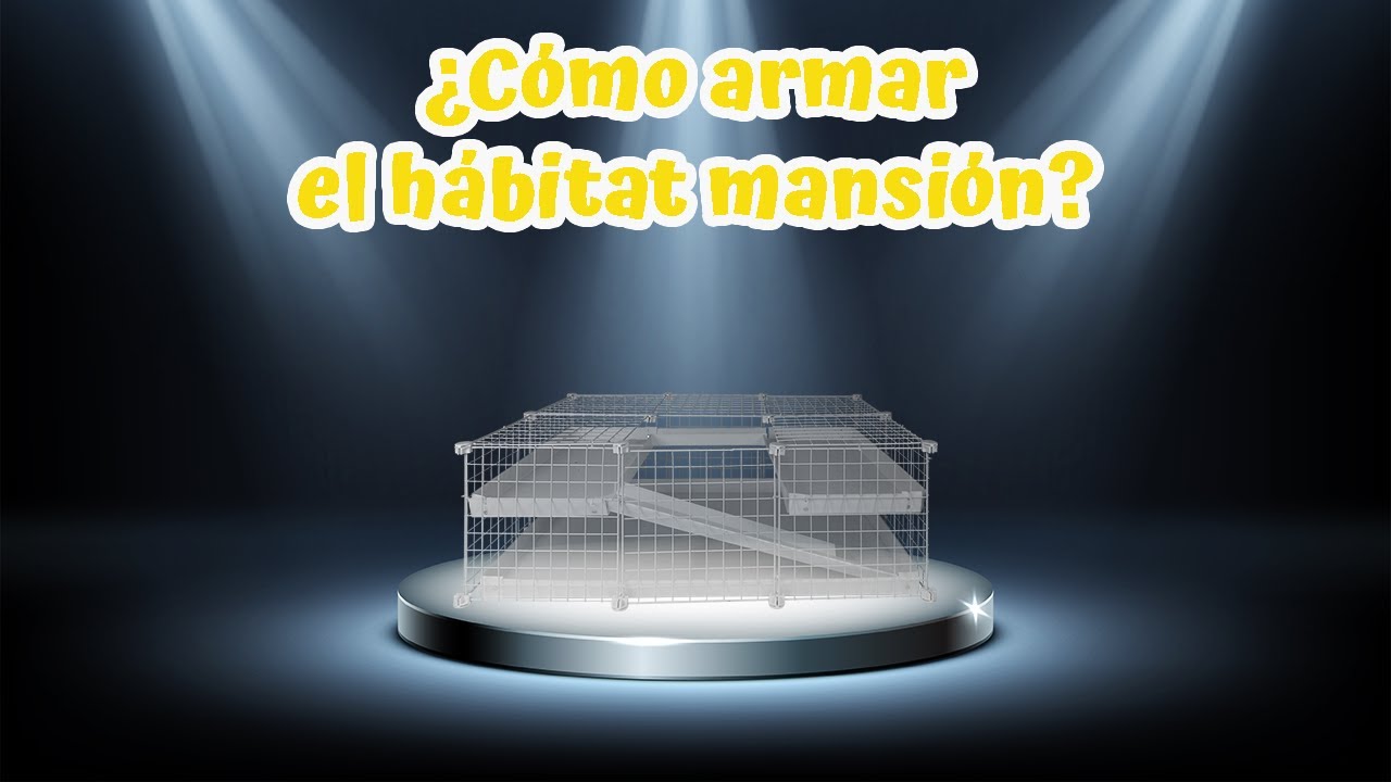 ¿Cómo armar el hábitat castillo? | Erizoo México
