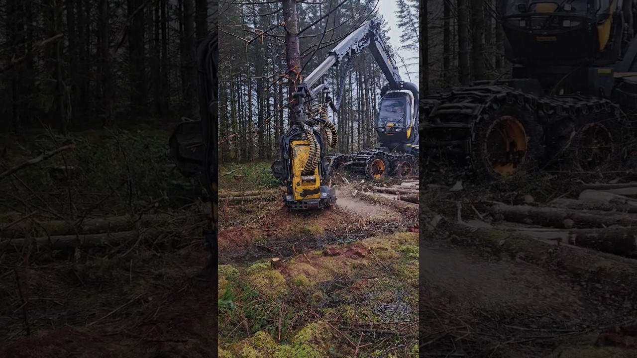 Ponsse Scorpion King during the work
