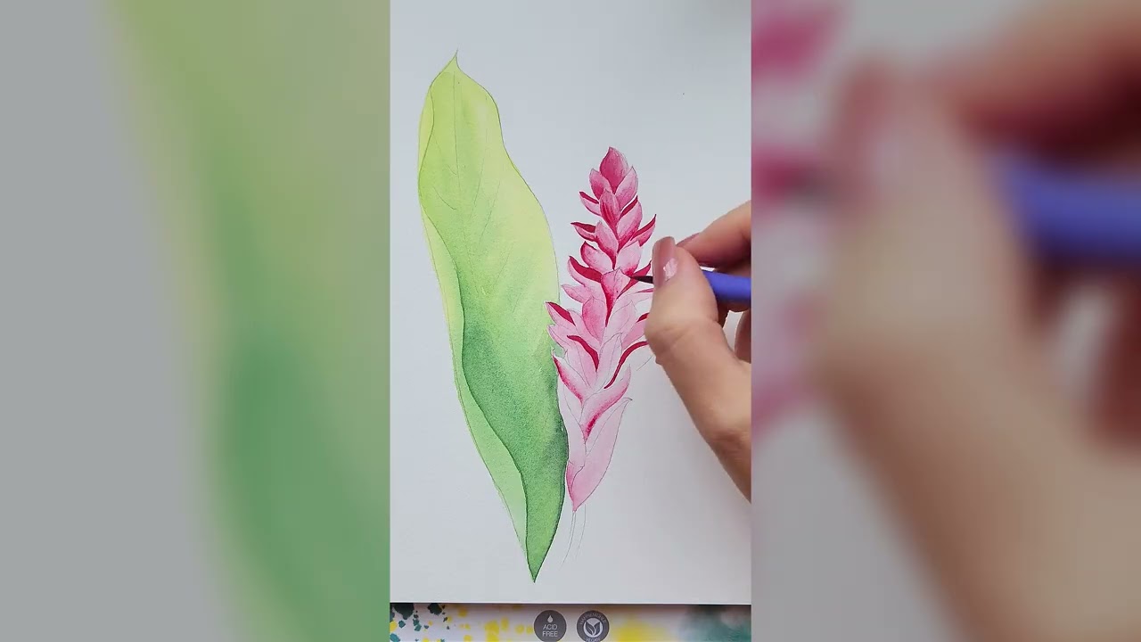 Carnaval Tropical: Pintando a Alpinia