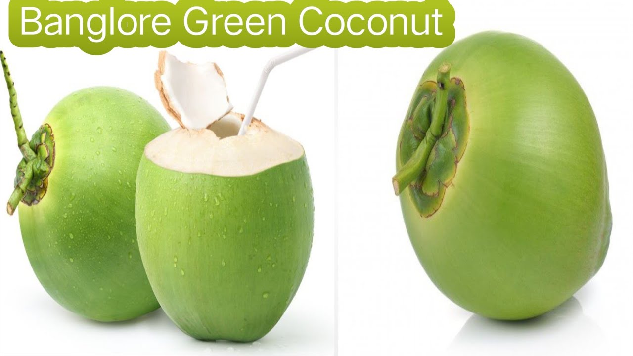 Greencoconut Bangalore//#farming #coconut #banglore #fruit #ytshorts #travel #trending #ytshorts #yt