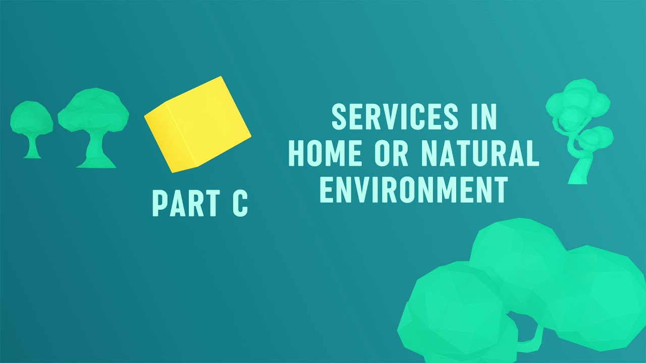 Video 2: Part C and Part B: Comparing Services