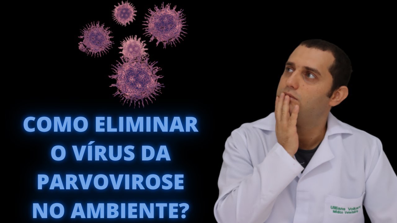 Como eliminar o vírus da parvovirose no ambiente