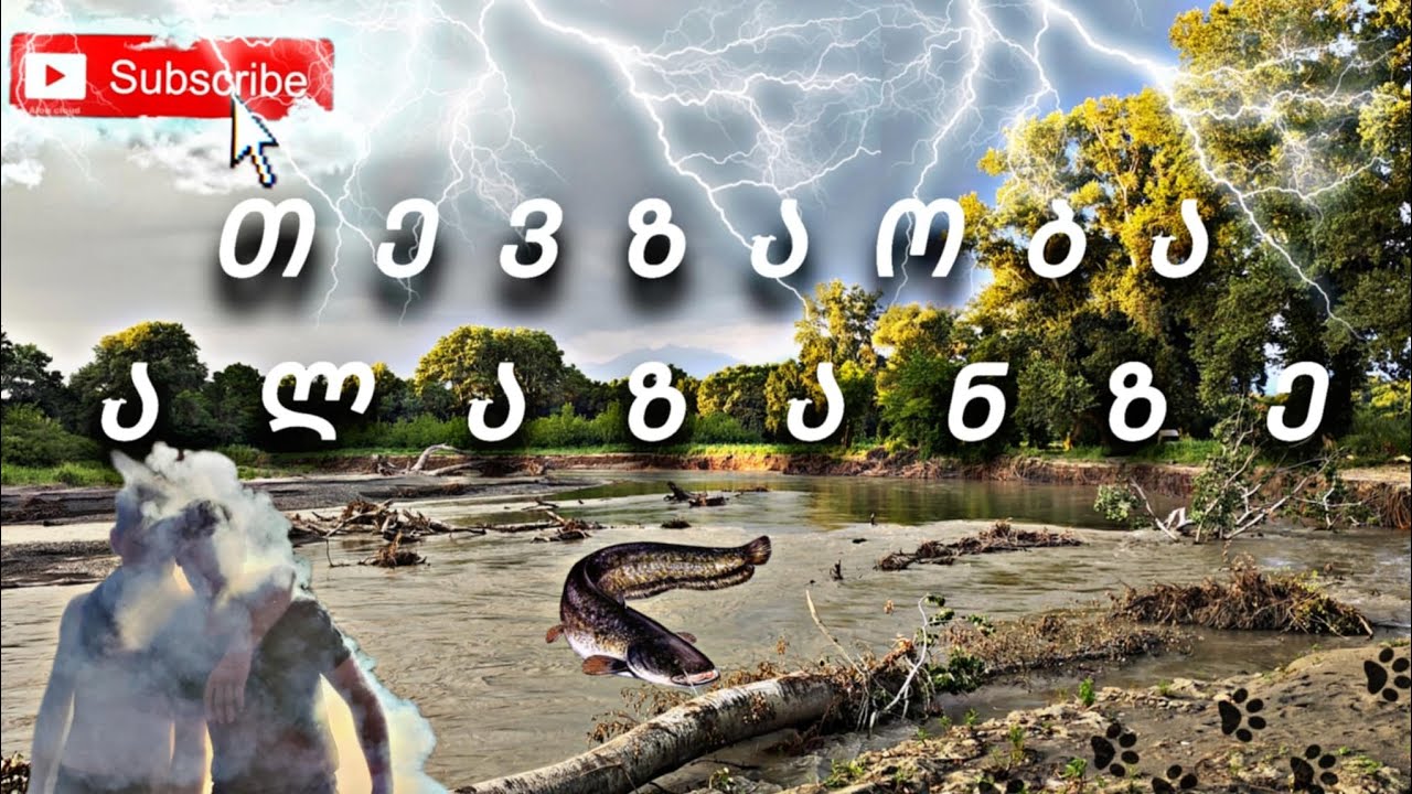 თევზაობა ალაზანზე ლოქოზე.