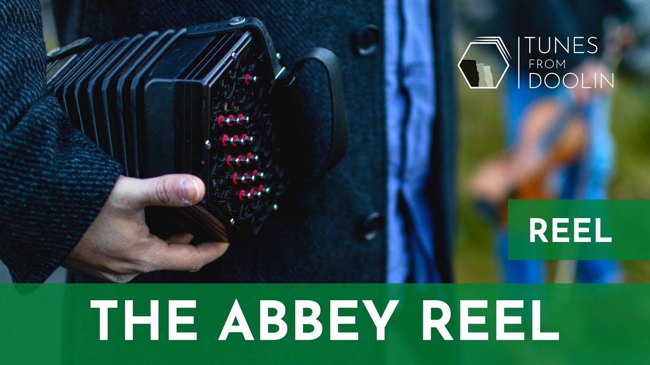 THE ABBEY REEL | Irish Music Tunes on Concertina 🎵☘️
