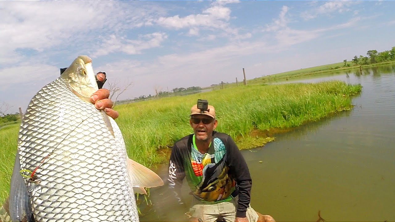 🔥O LUGAR DAS GIGANTES 😱 COM @pescaclassea308 PESCA COM ESTILINGUE SLINGSHOT FISHING 🇧🇷