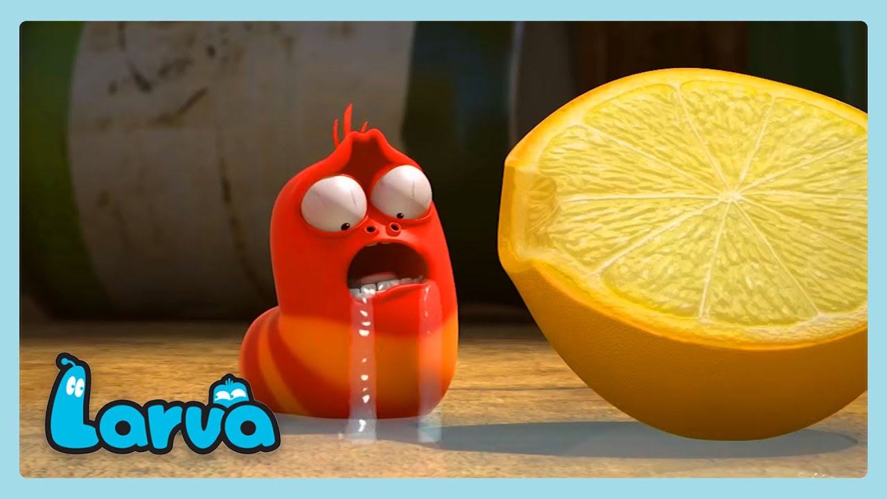 Es demasiado agrio | LARVA | Wildrbain Niños