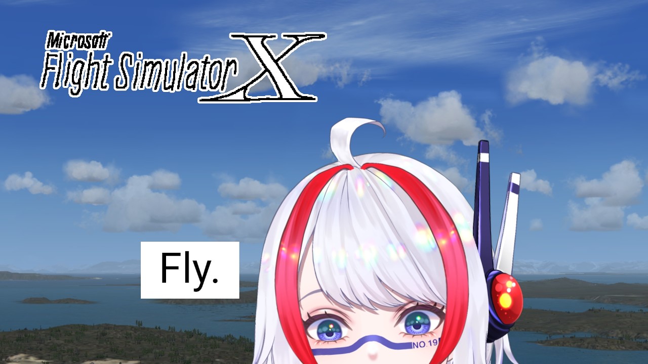 [PC] Microsoft Flight Simulator X (2006) #7