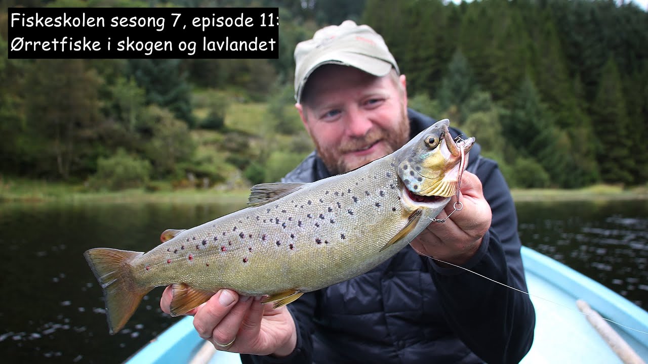 Fiskeskolen sesong 7, episode 11: Ørretfiske i skogen og lavlandet