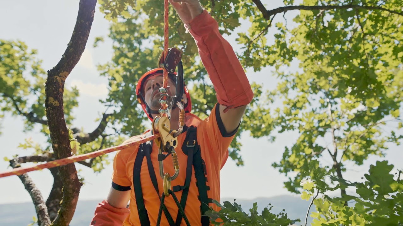 Move In Trees - Petzl