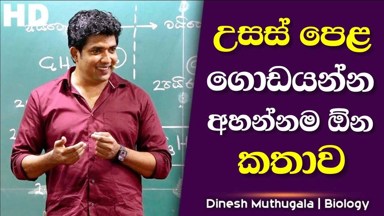 කෙල වෙන්නෙ නැතුව A/L ගොඩයන්න නම් වැඩ කරන්න ඕන විදිහ | Dr.Dinesh Muthugala #dineshmuthugala 