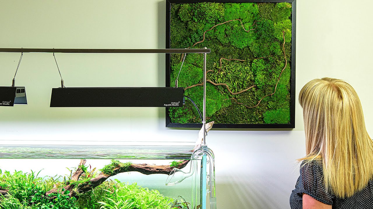 MOSS ART - Zero Maintenance!!