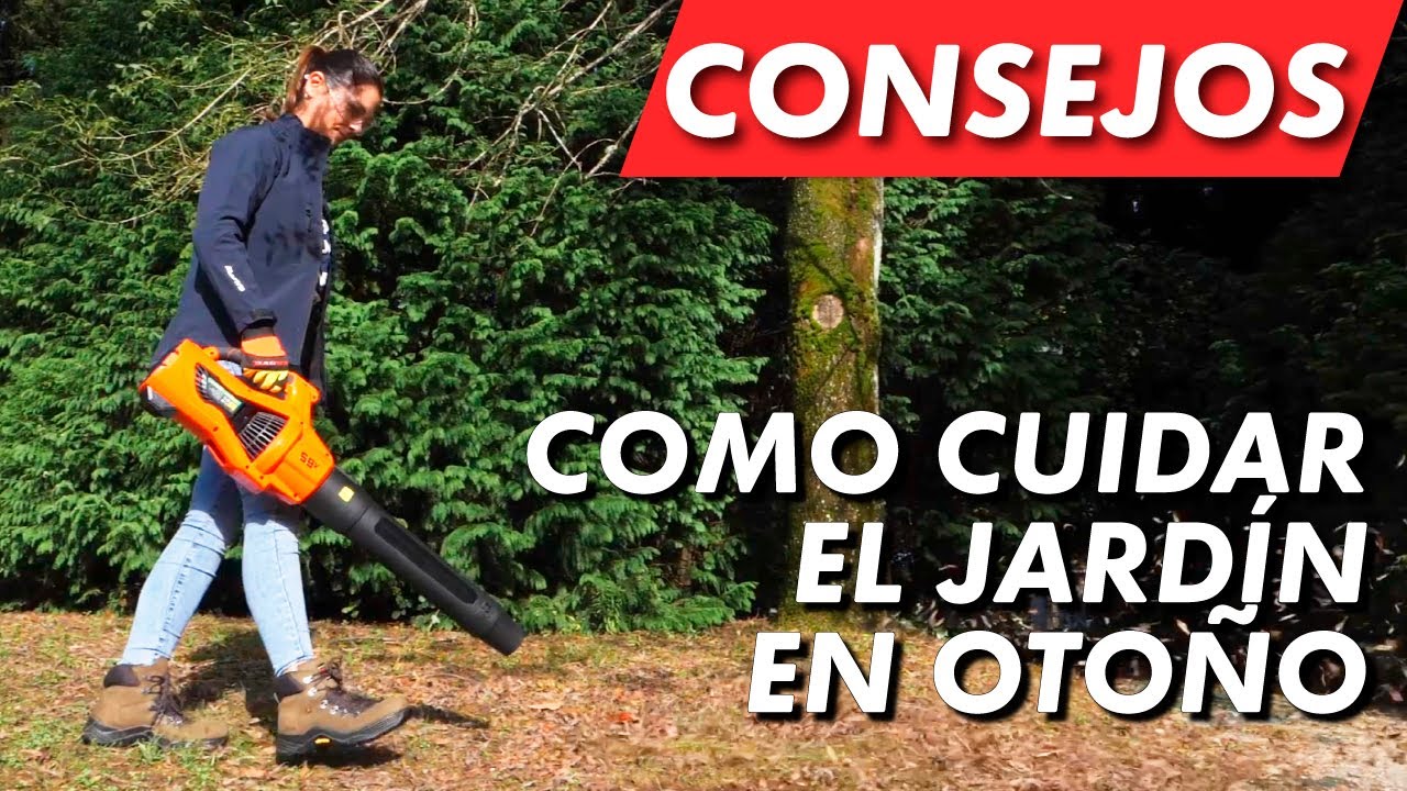 🍁&iquest;C&oacute;mo cuidar el jard&iacute;n en oto&ntilde;o? 🍂