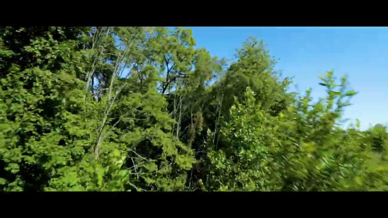 Pavo20 Pro Park Run - DJI O3