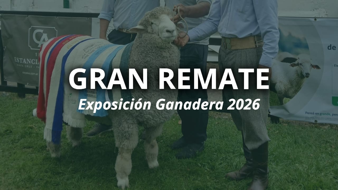 GRAN REMATE 2026