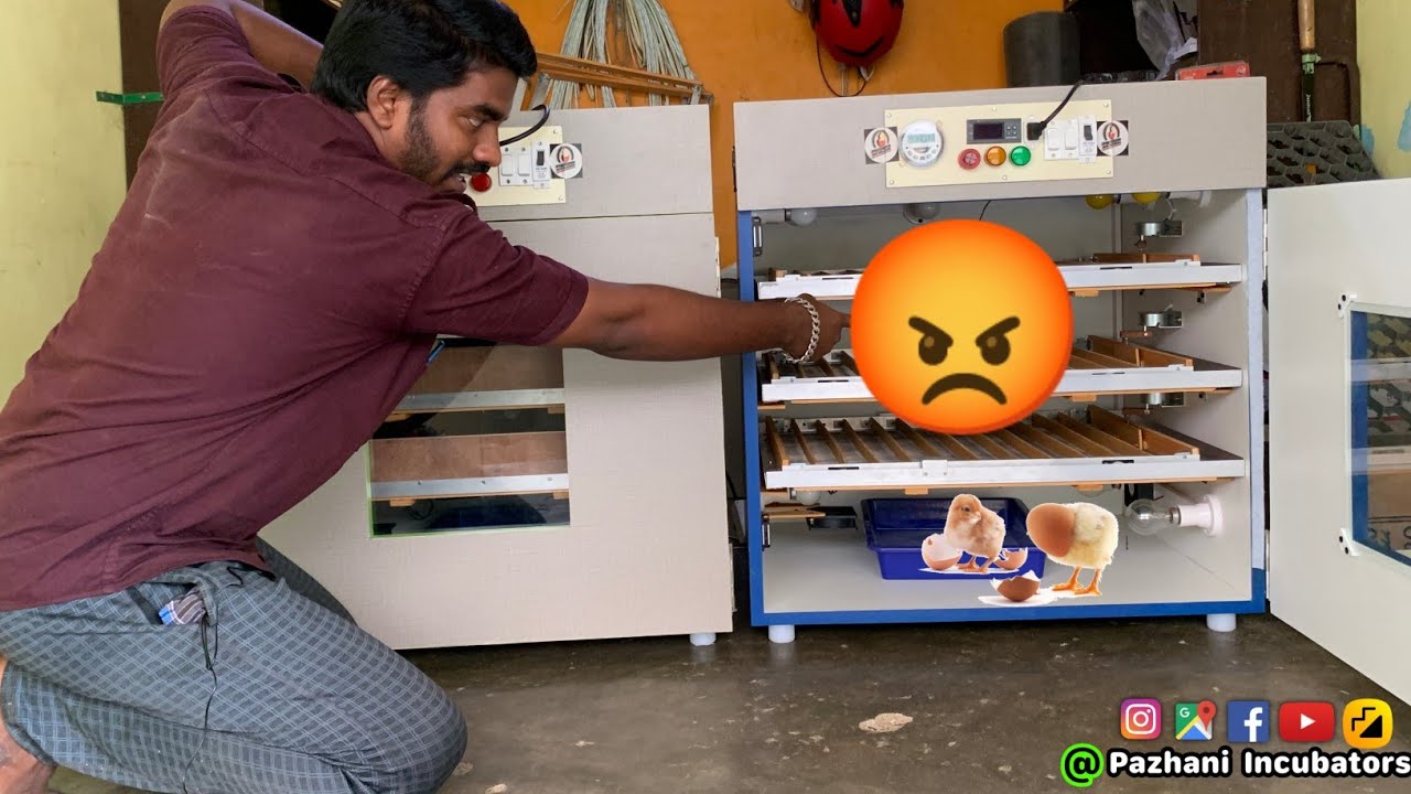 300eggs Fully Automatic Incubator In Tamil