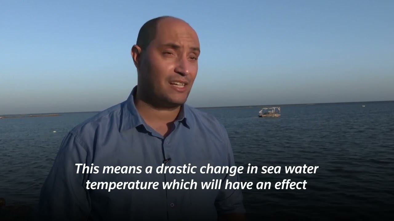 How heatwaves are threatening the Mediterranean