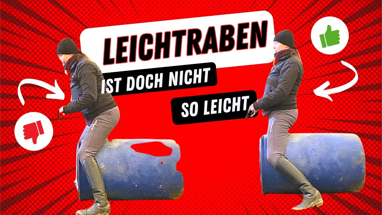 Richtig Leichttraben 🐴 Der Trick mit der Tonne #reiten #pferde #tippsundtricks #trab #klaudiaduif