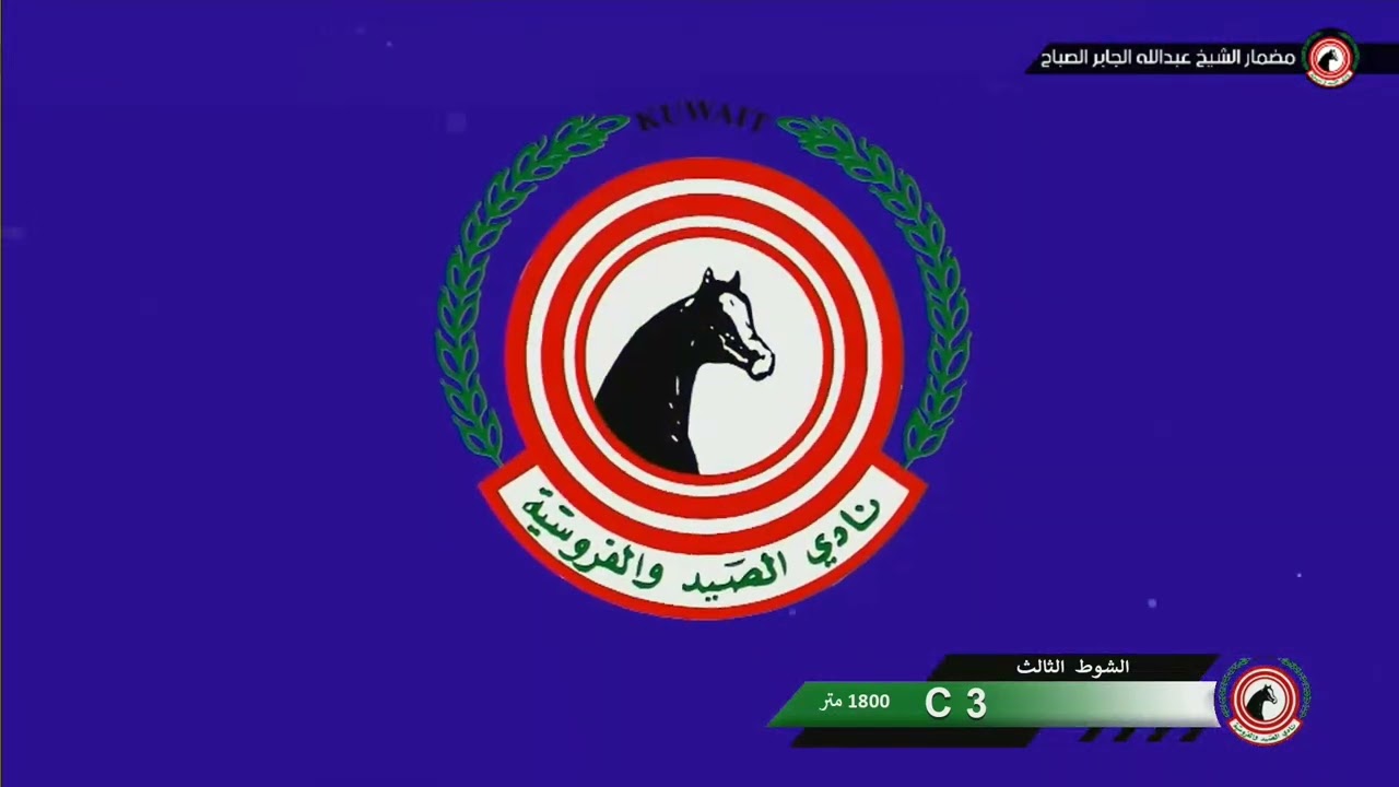 الشوط الثالث / الجواد تعميم / اسطبل الغليسي