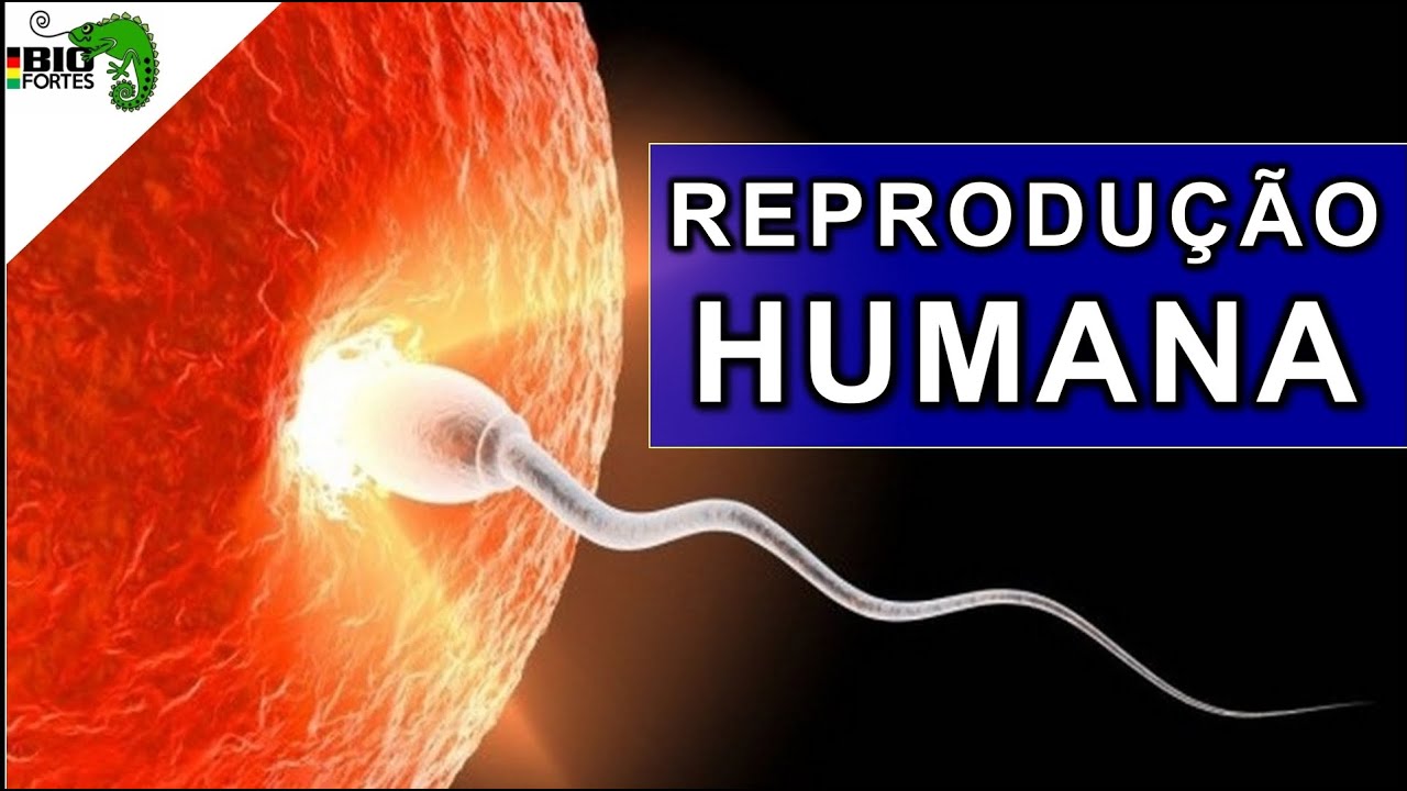 REPRODU&Ccedil;&Atilde;O HUMANA