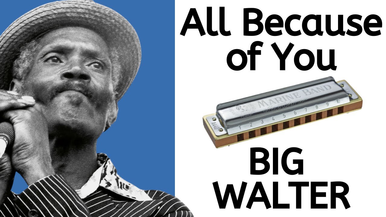 All Because of You (Big Walter) - Blues harmonica lesson for harmonica in key of F