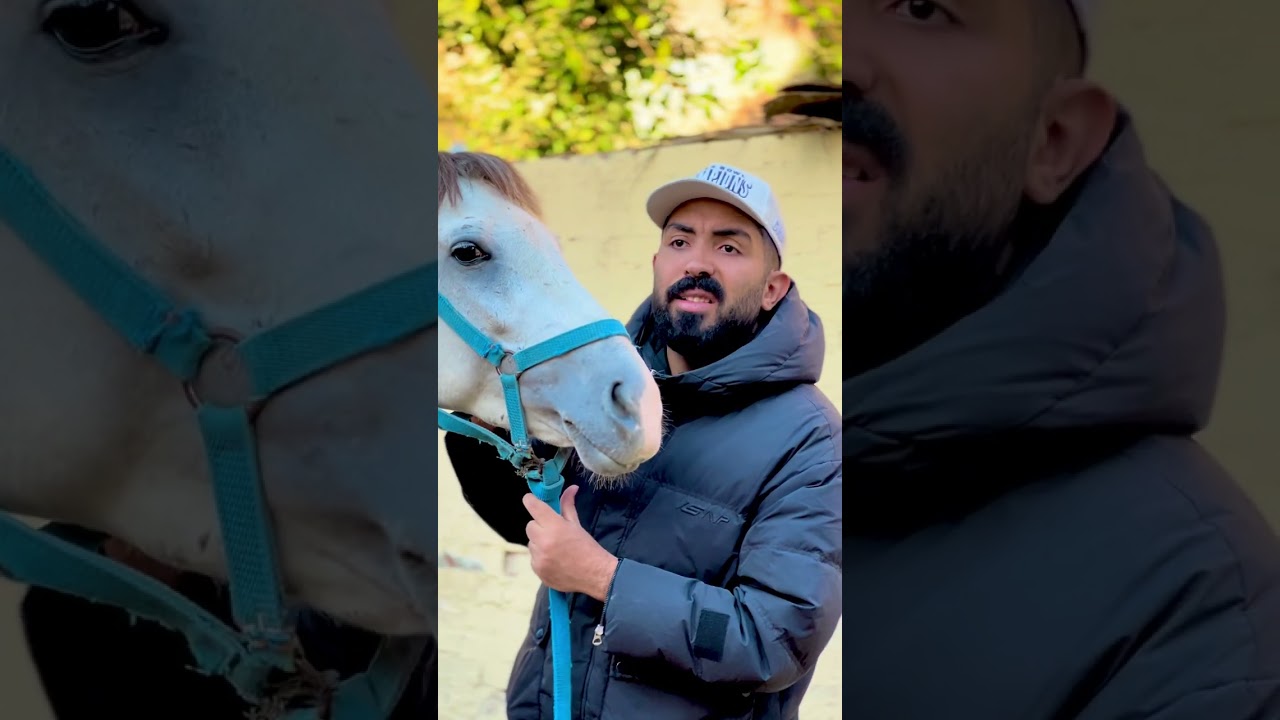 من ريحة الحصان عرف مكانه 🐴♥️_ #رينجو_مصر 